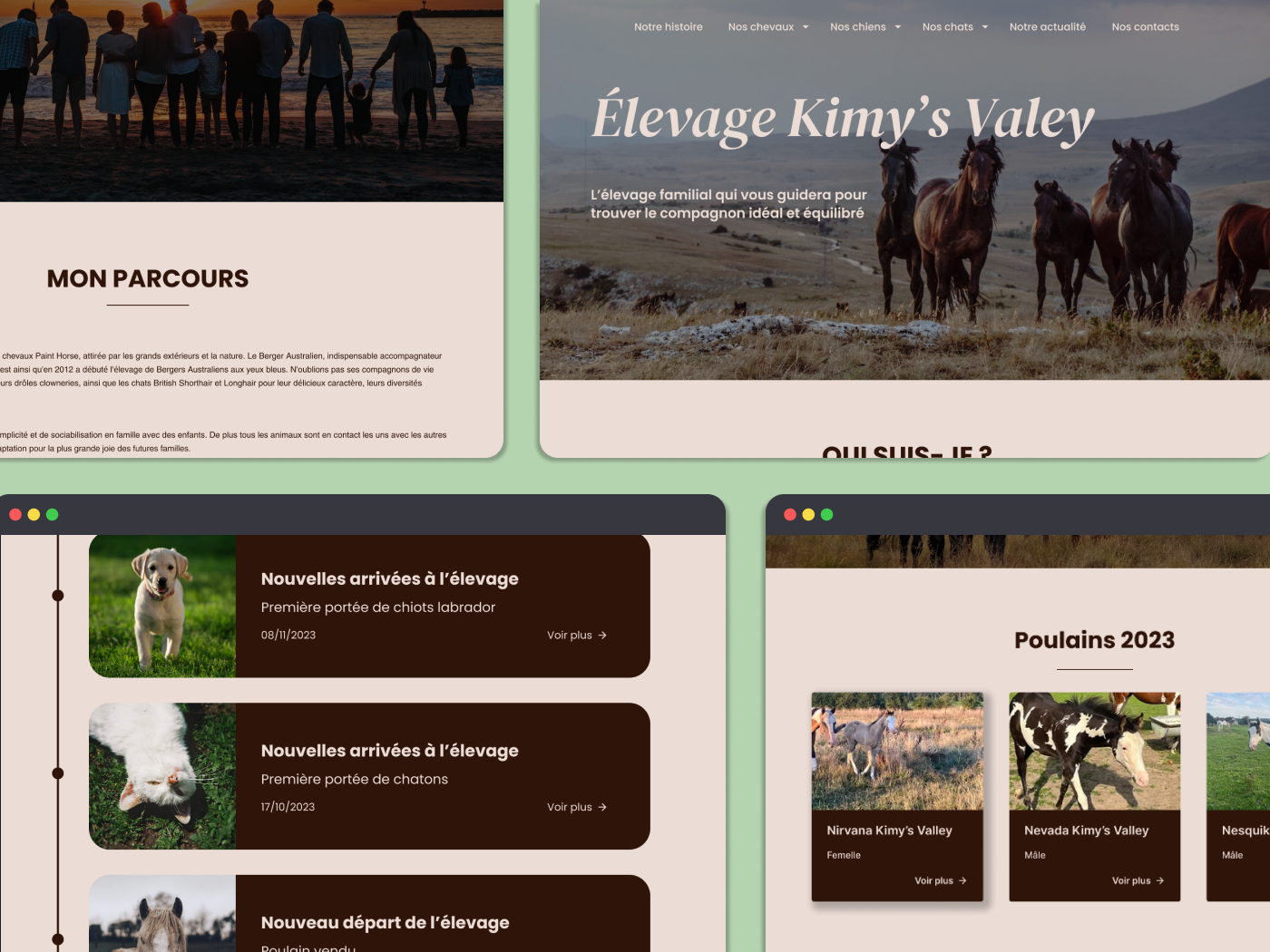 Project_elevage_kimys_valey